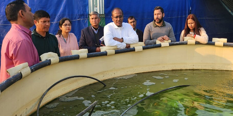 Fish farm ponds