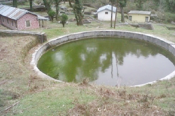 Fish hatchery