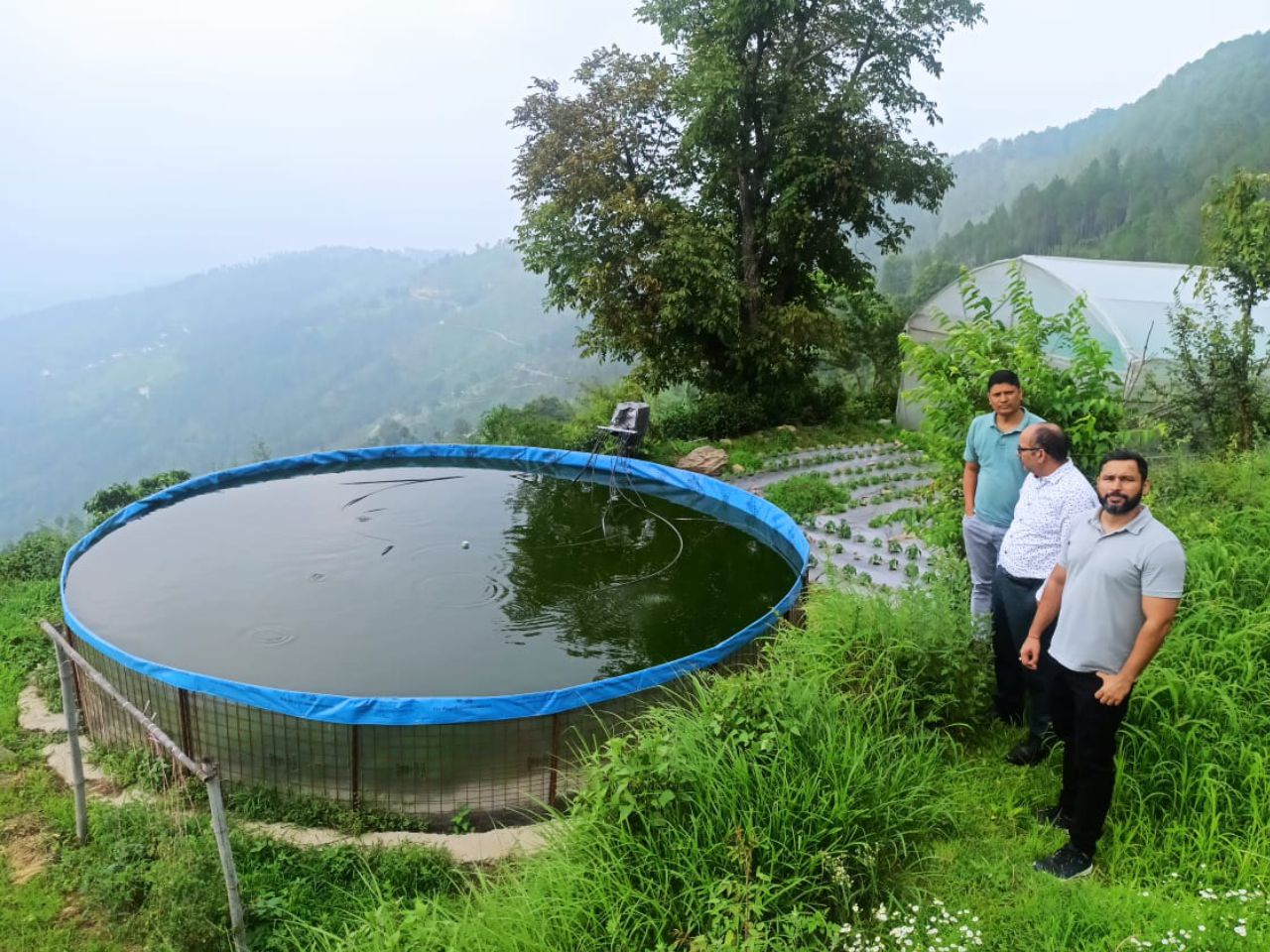 Fish farming