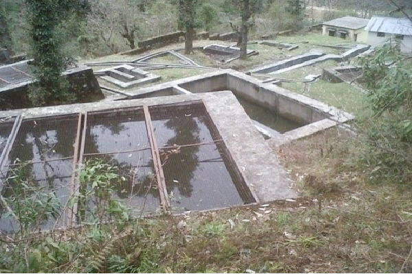 Fish farming