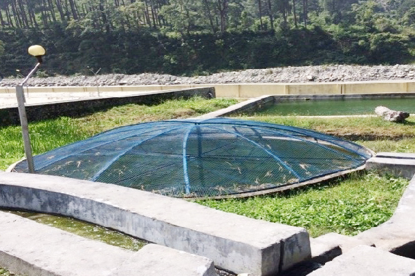 Fish hatchery