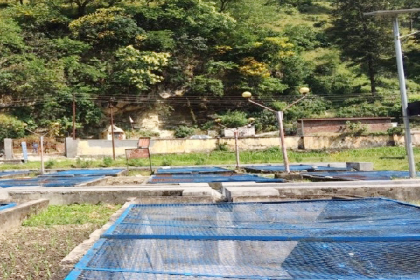 Fish farming
